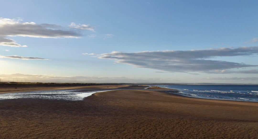 The tide out at West Sands beach in St Andrews.