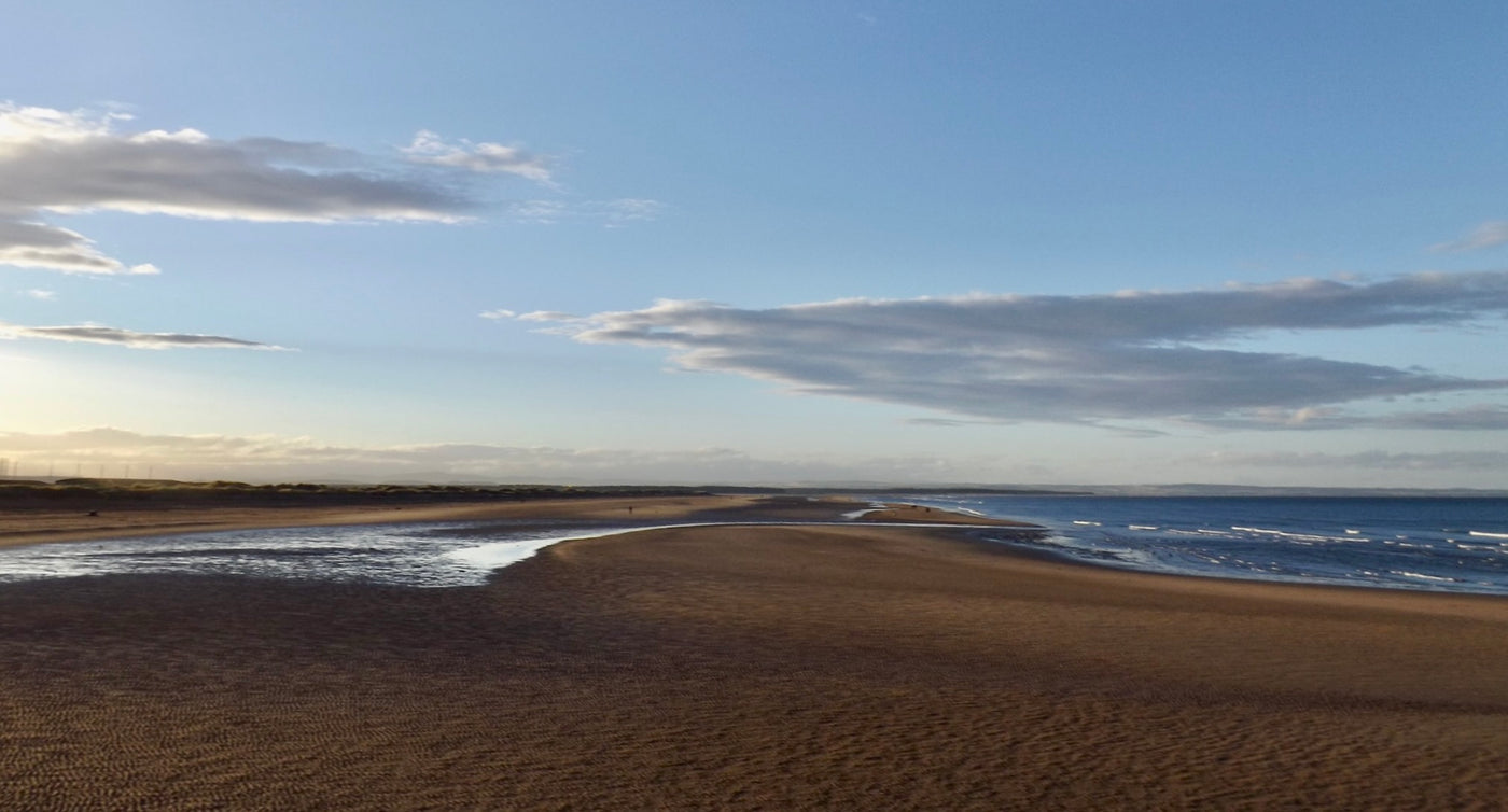 The tide out at West Sands beach in St Andrews.